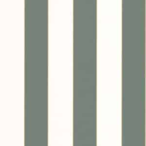 Caselio Golden Lines Vert Eucalyptus Blanc BAI101077144