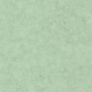 Caselio Beton Uni Vert D Eau Moyen BET101487516