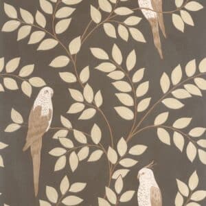 Caselio Equateur - Beige