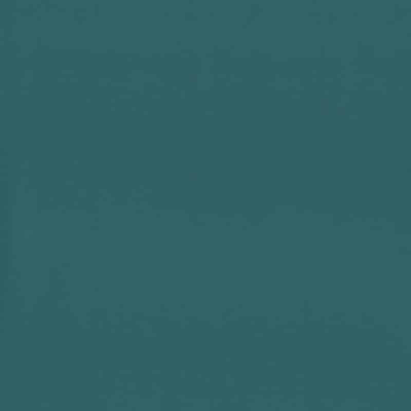 5865 – Left211