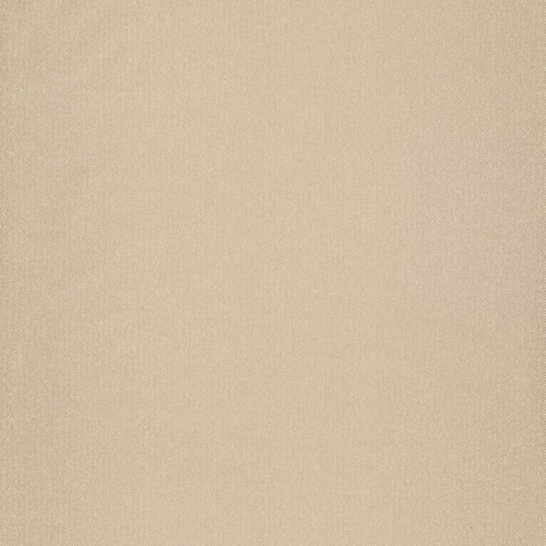 zhJeITN4Kf