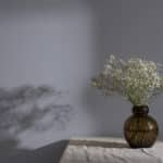 222 58 Blabar med mjolk 510×686