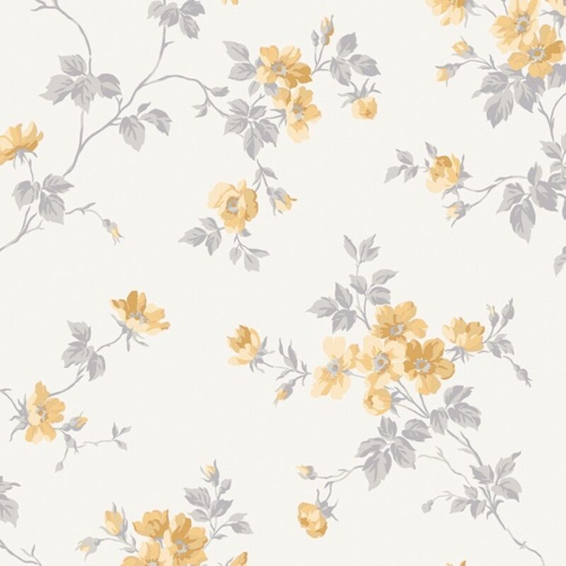 387 05 1200×1200.product popup