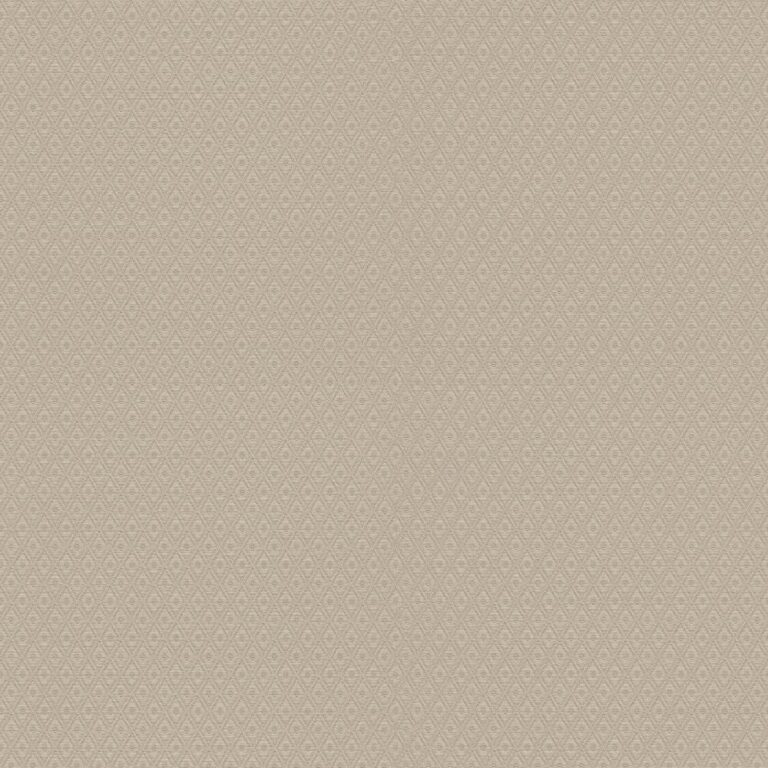Z21737 768×768