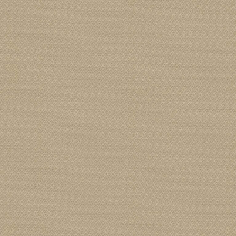 Z21738 768×768