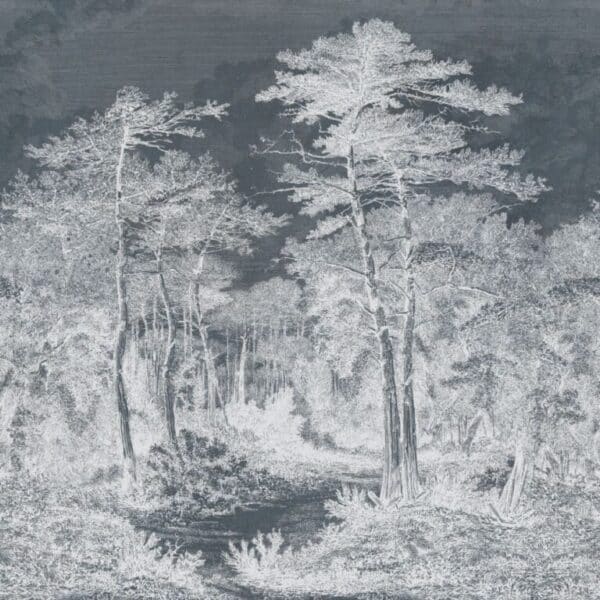 A,View,In,The,Forest,Of,Arcachon,,Vintage,Engraved,Illustration.