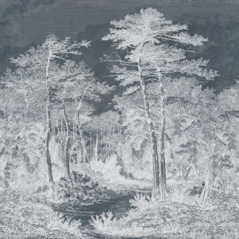 A,View,In,The,Forest,Of,Arcachon,,Vintage,Engraved,Illustration.