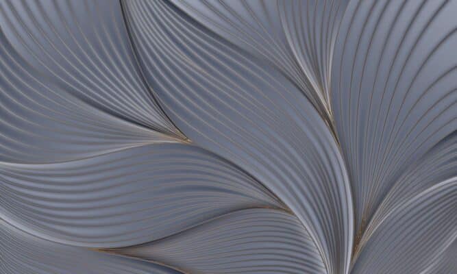 Web