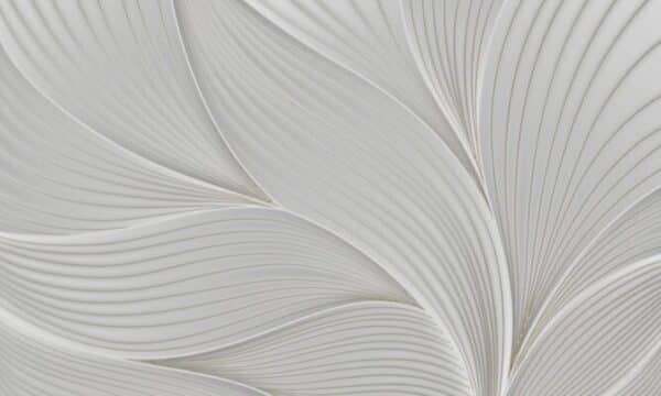 Web