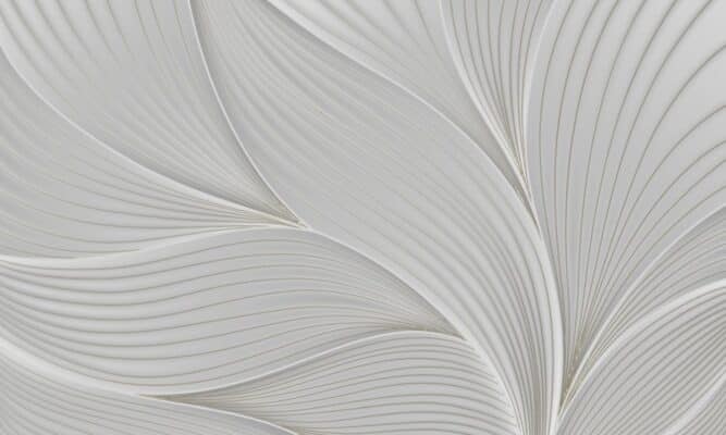 Web