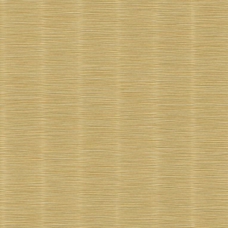 Z57717 768×768