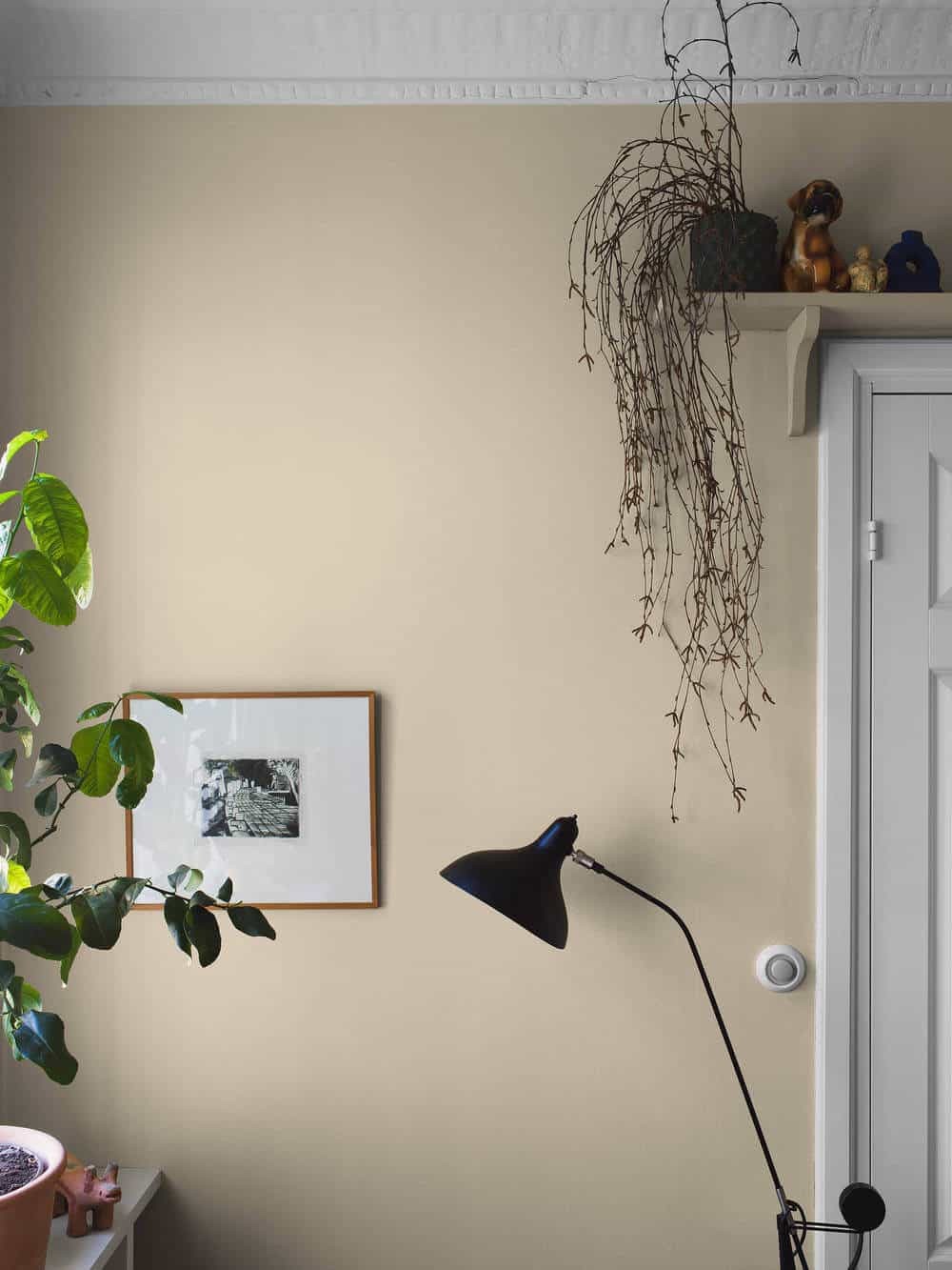 borastapeter pigment 7555 behang 1