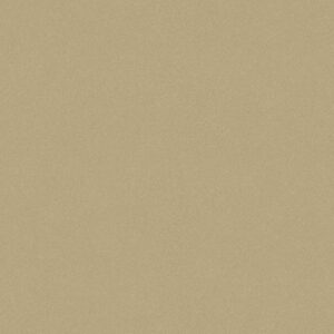 Boråstapeter Pigment Uni - Goud