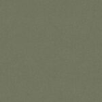 borastapeter pigment 7581 behang 4