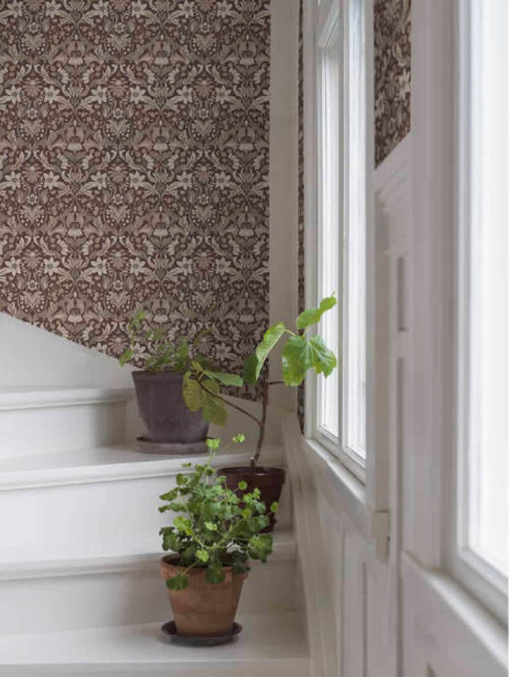 borastapeter timeless traditions blomsterfrojd 3294 behang 3