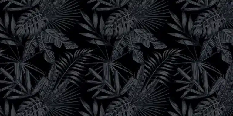 Zwart behang patroon