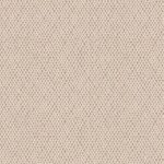 4408_amime_1