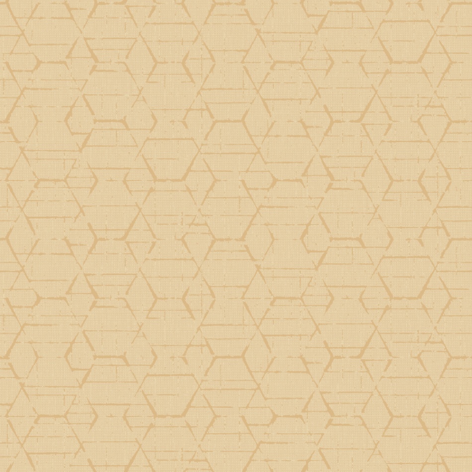 behang-grafisch-hexagon-G78249