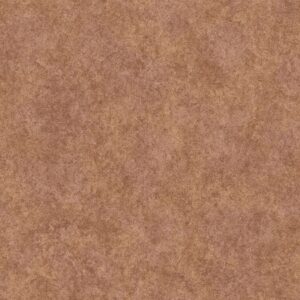 Noordwand Special FX 2 G67691