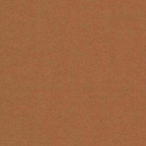 Noordwand The New Amsterdam Book 74817