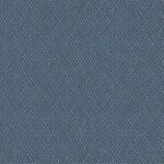 blue_4409_amime_1