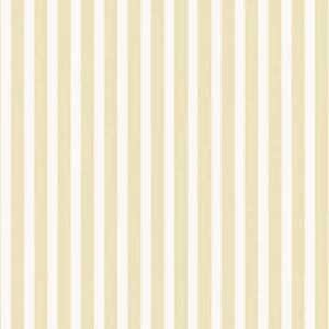 Farrow & Ball Block Print Stripe Closet Stripe 356