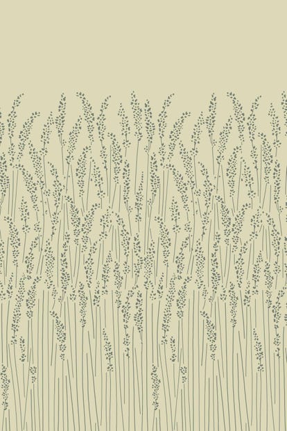 feather-grass-5105-wallpaper-base