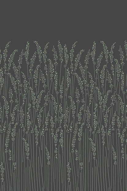 feather-grass-5106-wallpaper-base