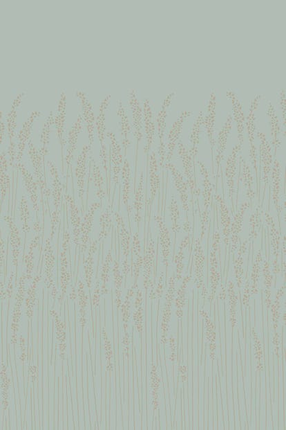 feather-grass-5107-wallpaper-base