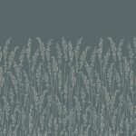 feather_grass_5108_1