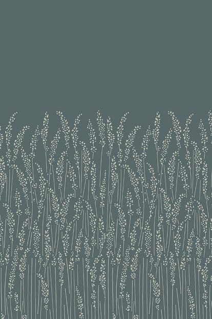 feather_grass_5108_1