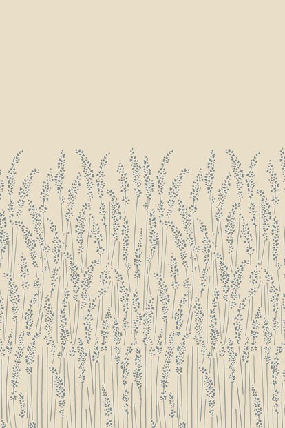 feather_grass_5109_1