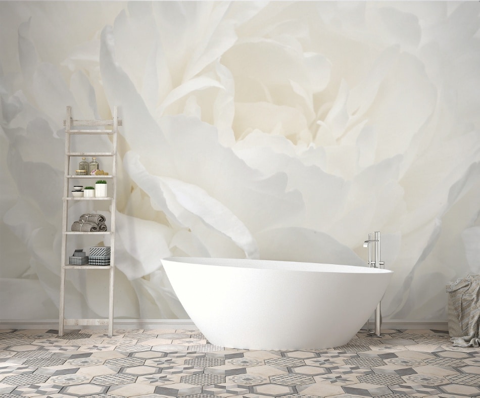 fotobehang witte roos G78424 s1