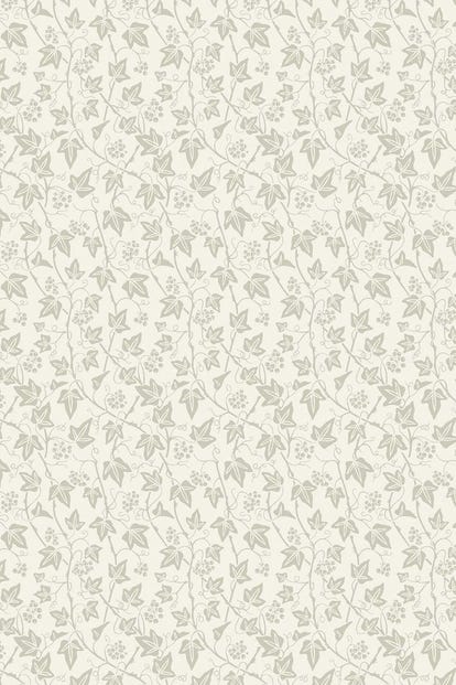 ivy_61-02_1
