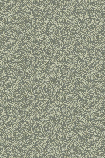 jasmine-3905-wallpaper-base
