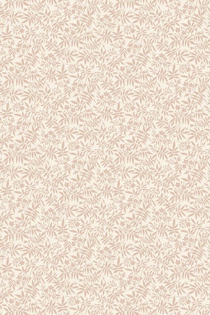 neutral_3908_jasmine_1