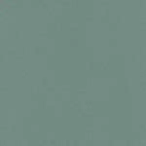 Erismann Martinique 10393 - Groen
