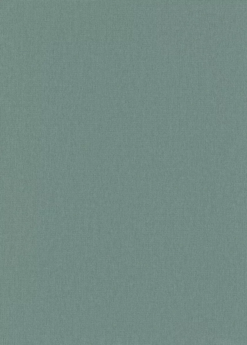 s-l1600