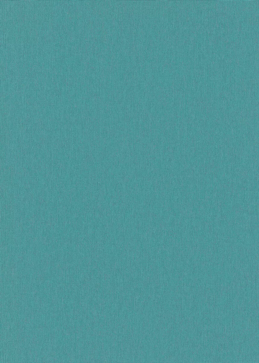 s-l1600