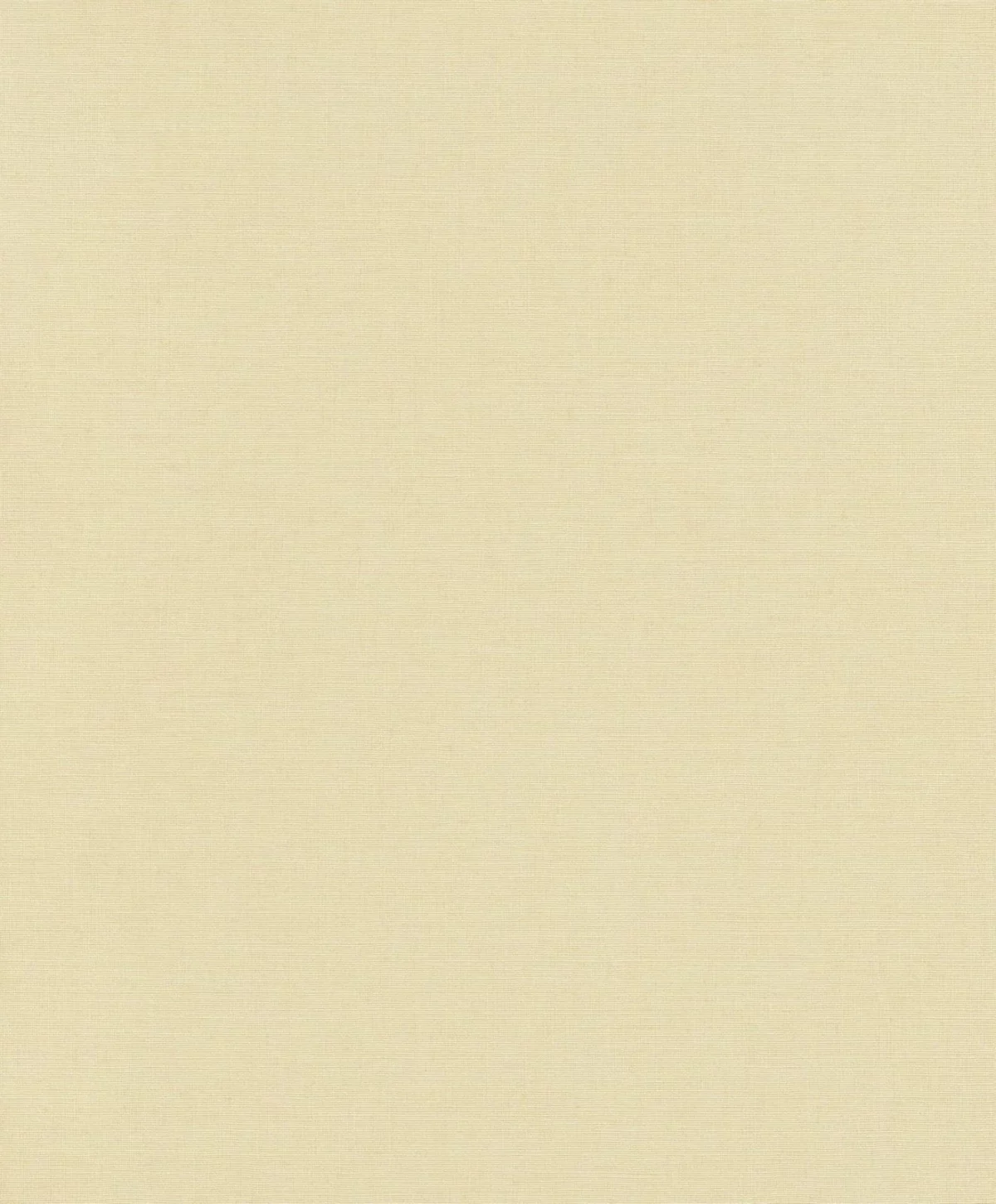 s-l1600