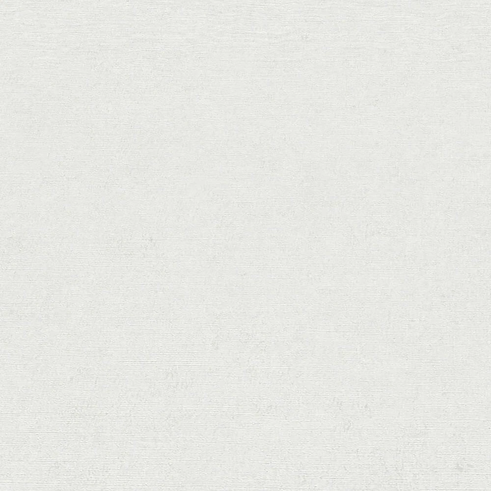 s-l1600
