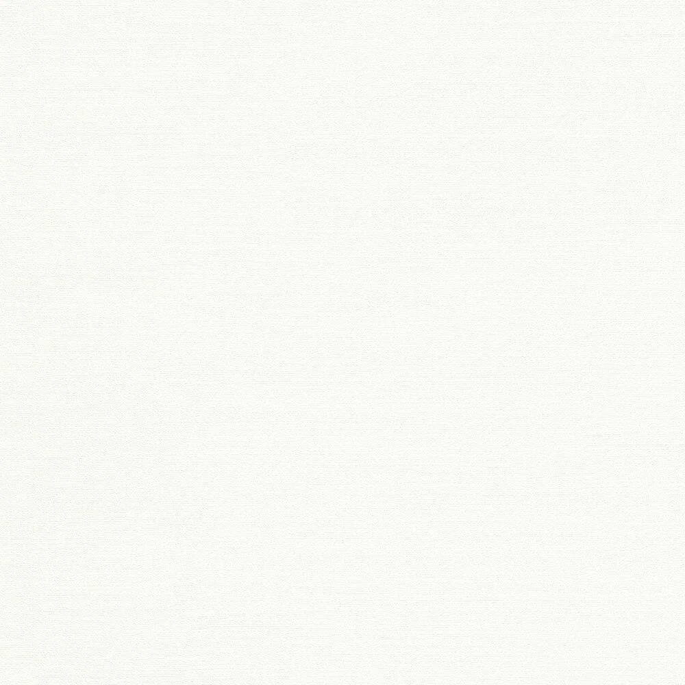 s-l1600