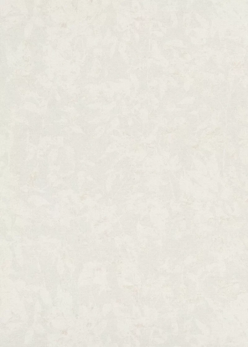 s-l1600