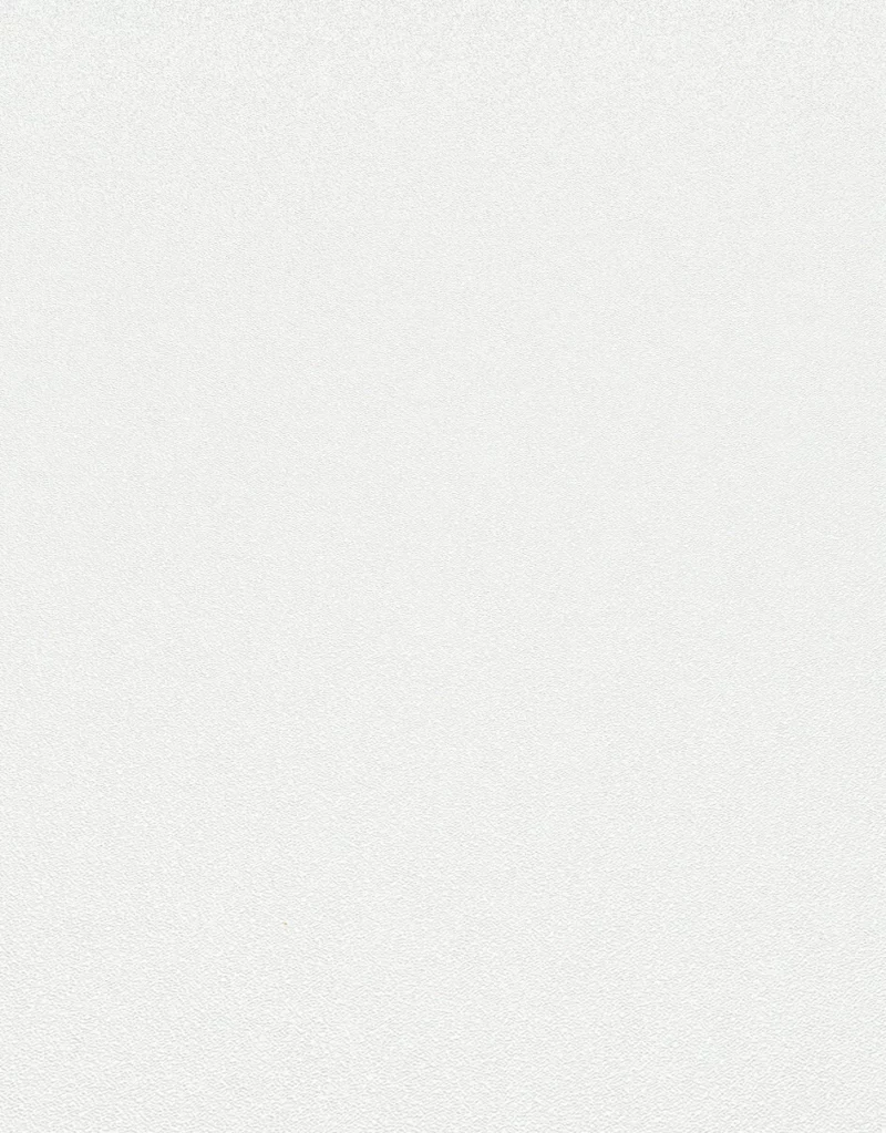 s-l1600