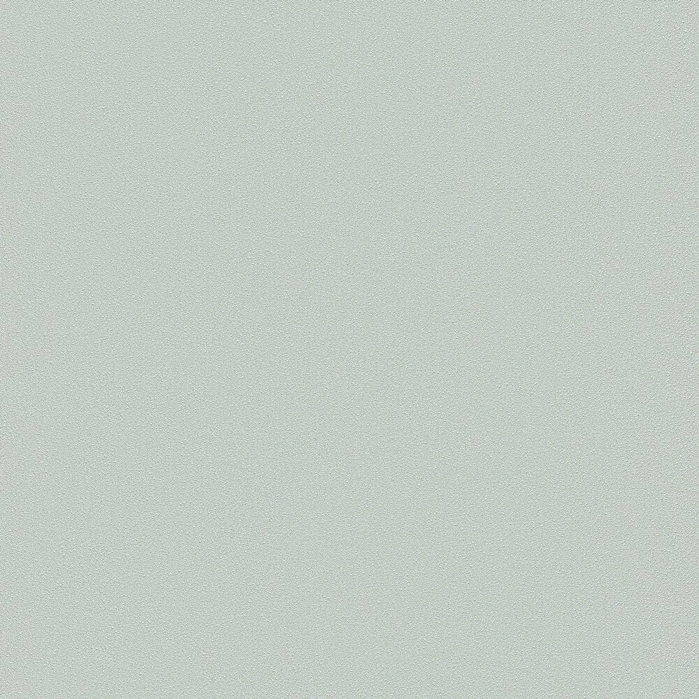 s-l1600