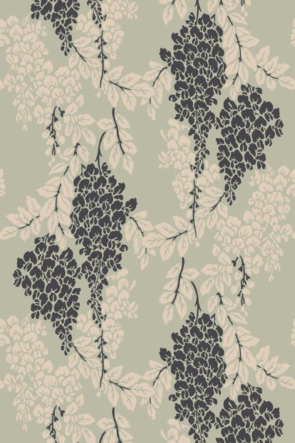 wisteria-2213-wallpaper-base