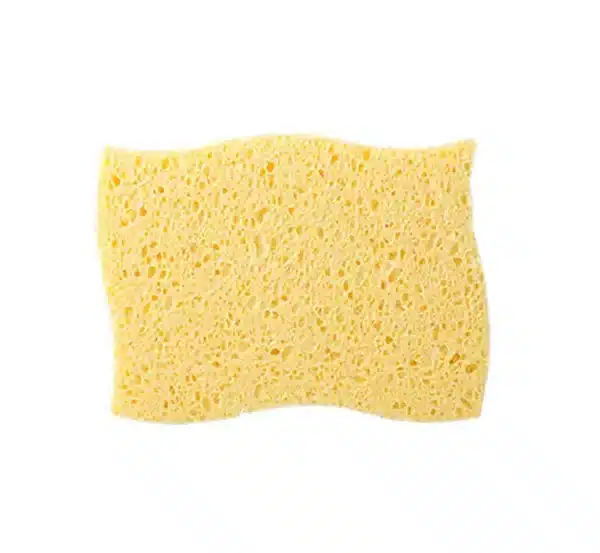 Schildersspons