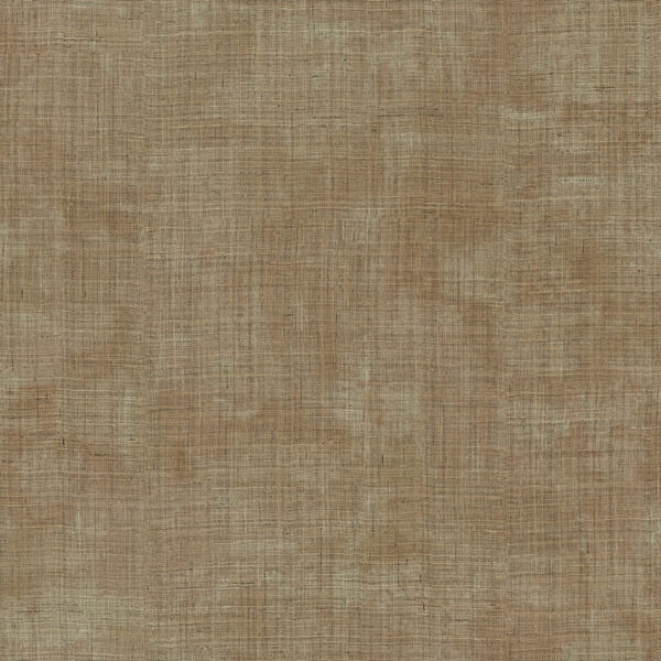 Z18914 1 768×768 2