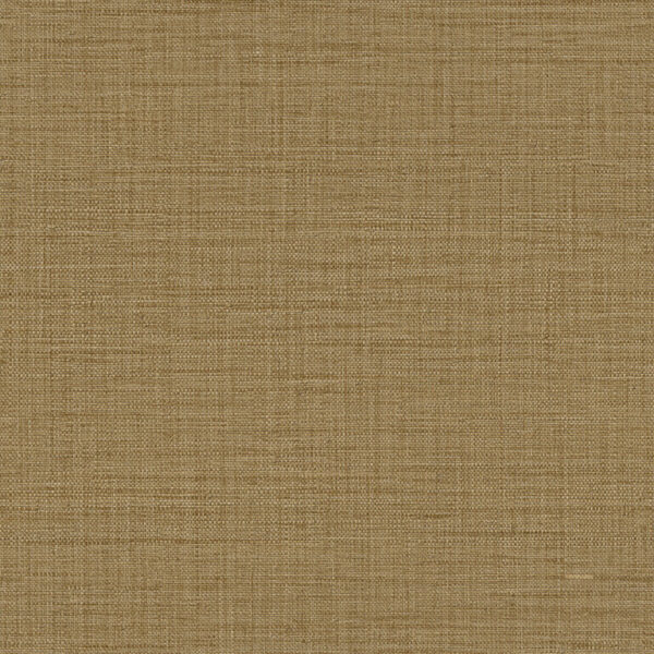 Z18942 1 768×768 1