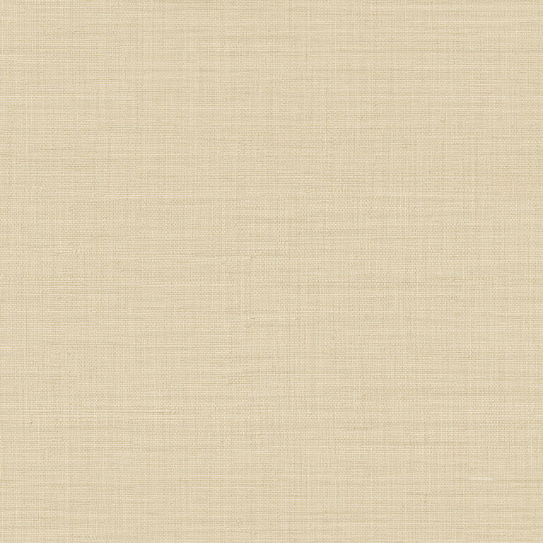 Z18944 768×768 1